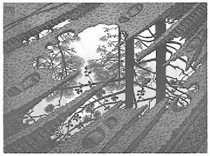 Maurits Cornelis Escher